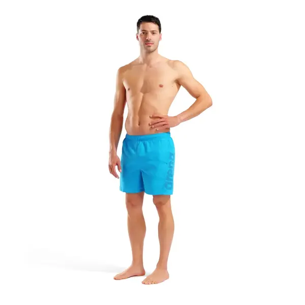 Arena Fundamentals Arena Logo Boxer Ανδρικό Μαγιό, Μέγεθος: S, 5 image